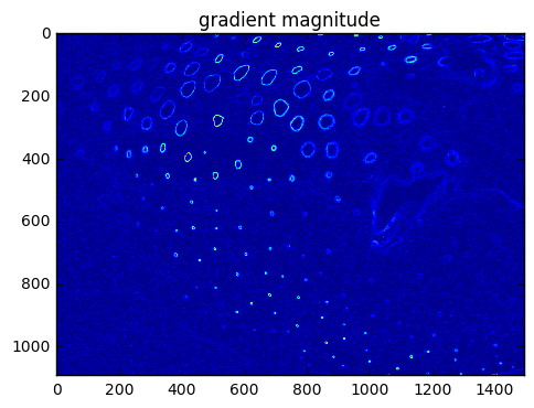 1. Image Analysis — Data Analysis Techniques in Marine Science